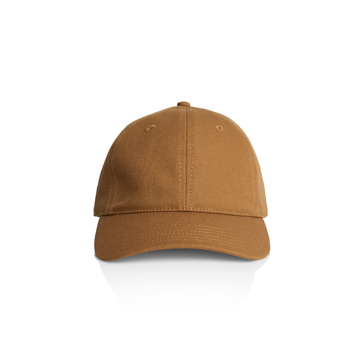PFM0_1131_CAMEL.jpg